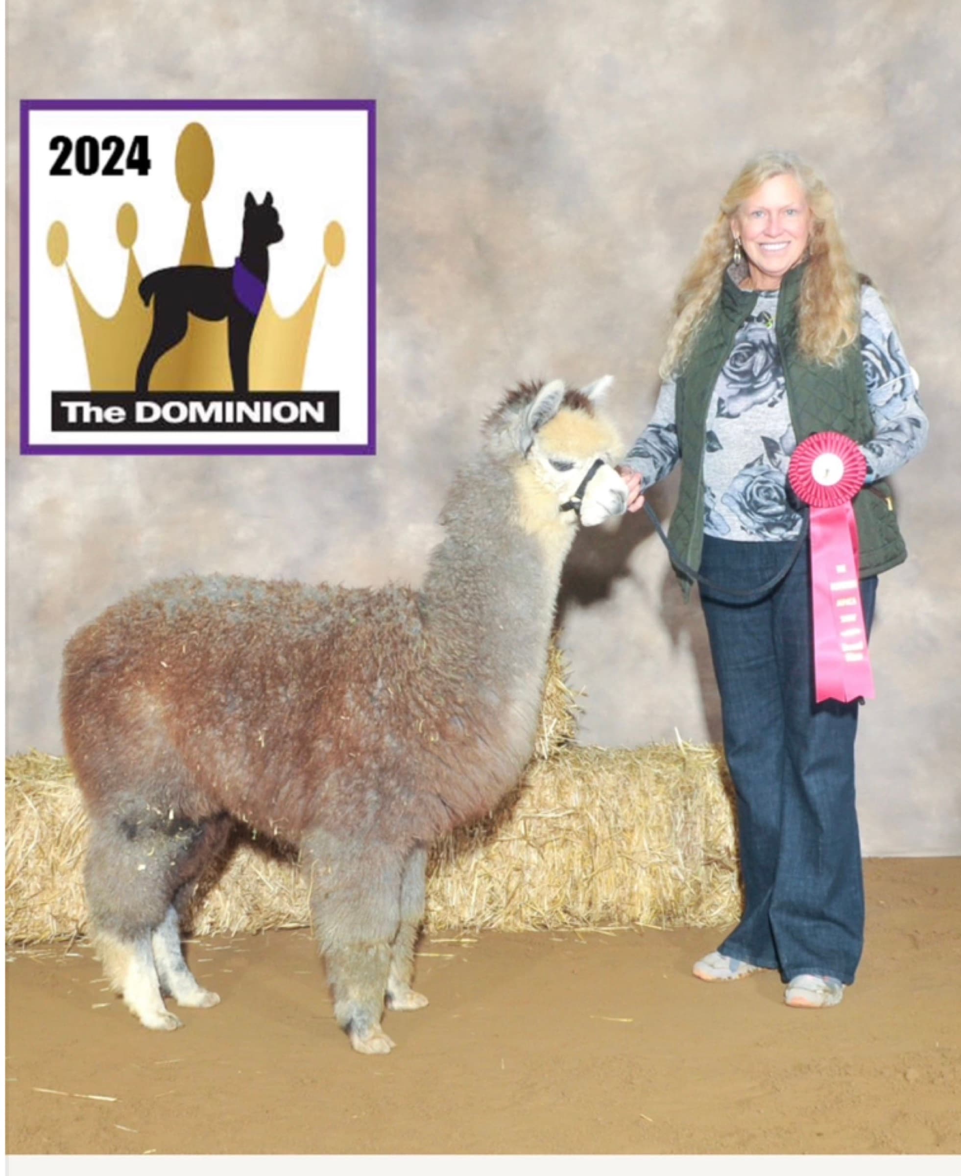 Frazer's Danny Boy at 2024 Dominion show