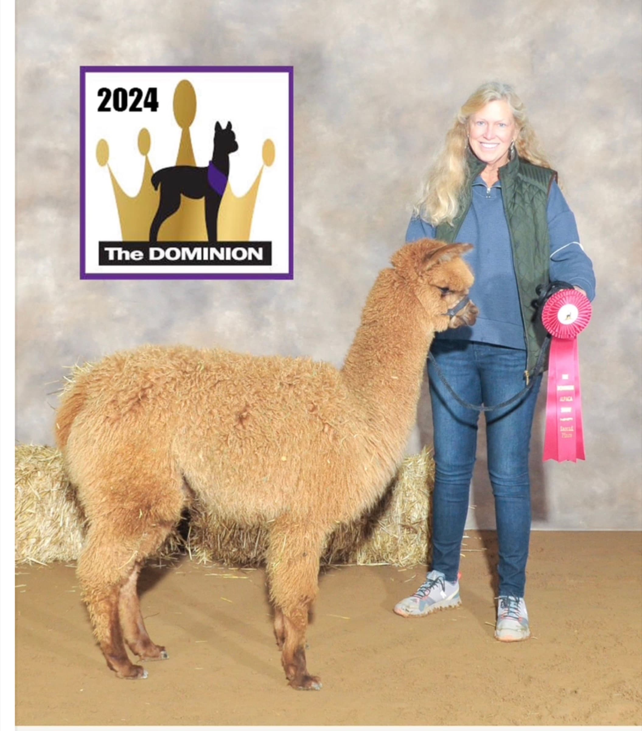 Frazer's Tardy Boy at 2024 Dominion show